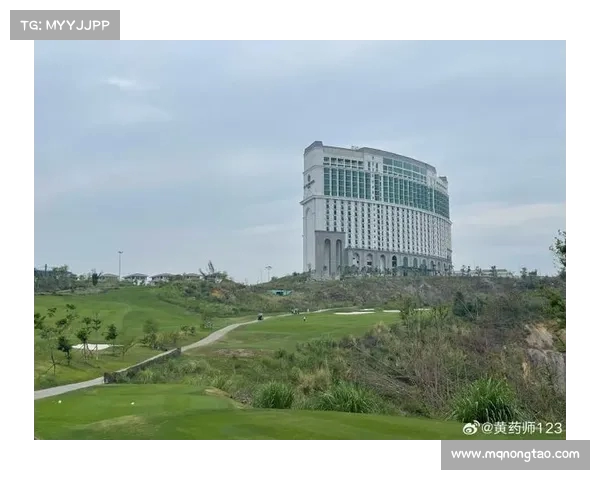 球洞编号在高尔夫球场设计中的作用与应用分析 球洞编号在高尔夫球场设计中的作用与应用分析